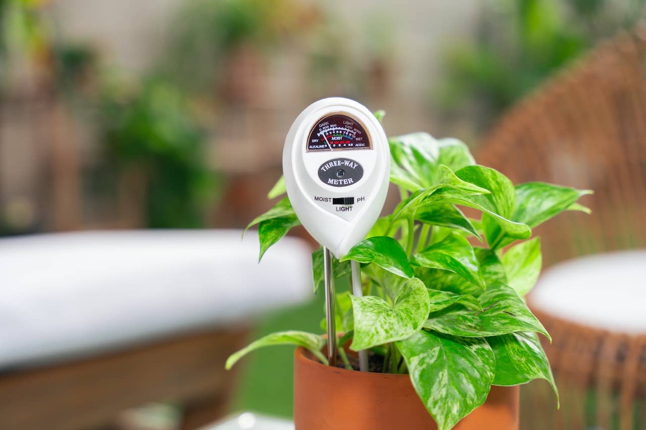 3-in-1 Soil Meter