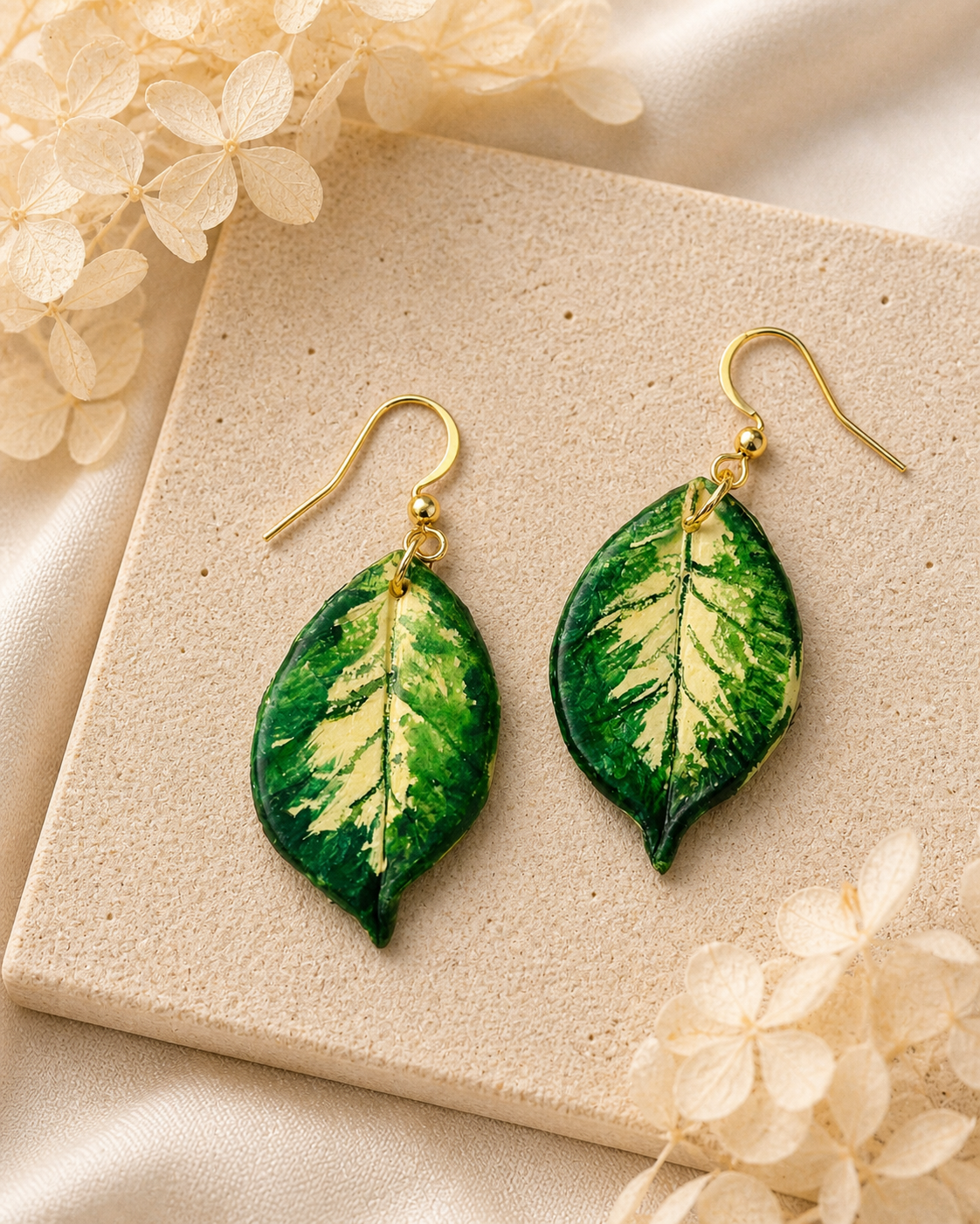 Hoya Polyneura Dangle