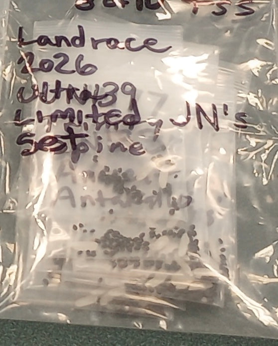 Trichocereus San Pedro Cactus Seeds Pachanoi, Peruvianus, Bridgesii, Scopulicola, Hybrid seed For Sale