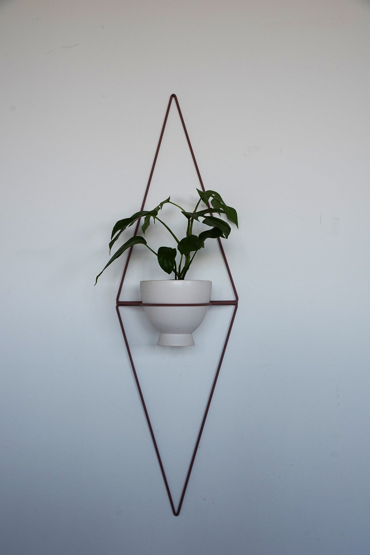 Diamond Eye Wall Planter