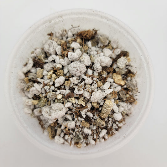 Mexican Pinguicula soil mix