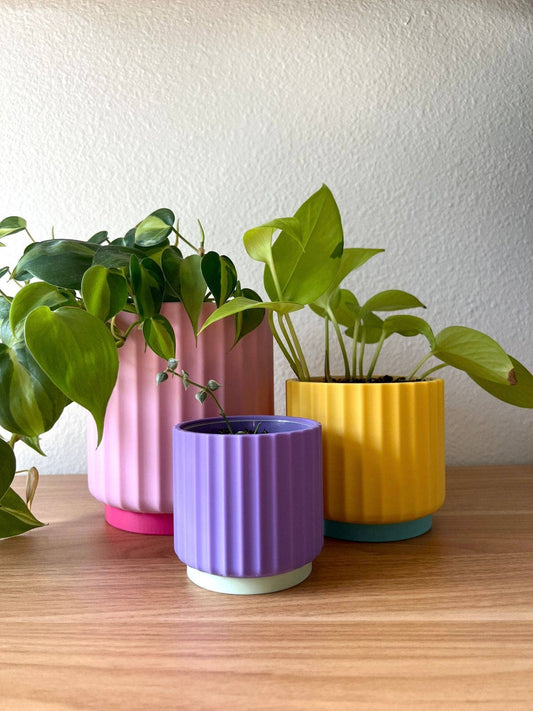 Rainbow 3-Piece Set – Bold Colorful Planters (3", 4", 5"): Tropical Twist (Pink Yellow Purple)