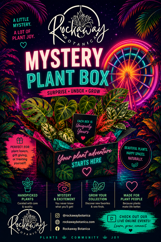 Mystery Plant Box Subscription