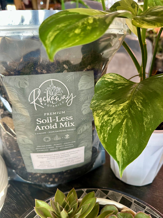RB Premium Soil-Less Aroid Mix
