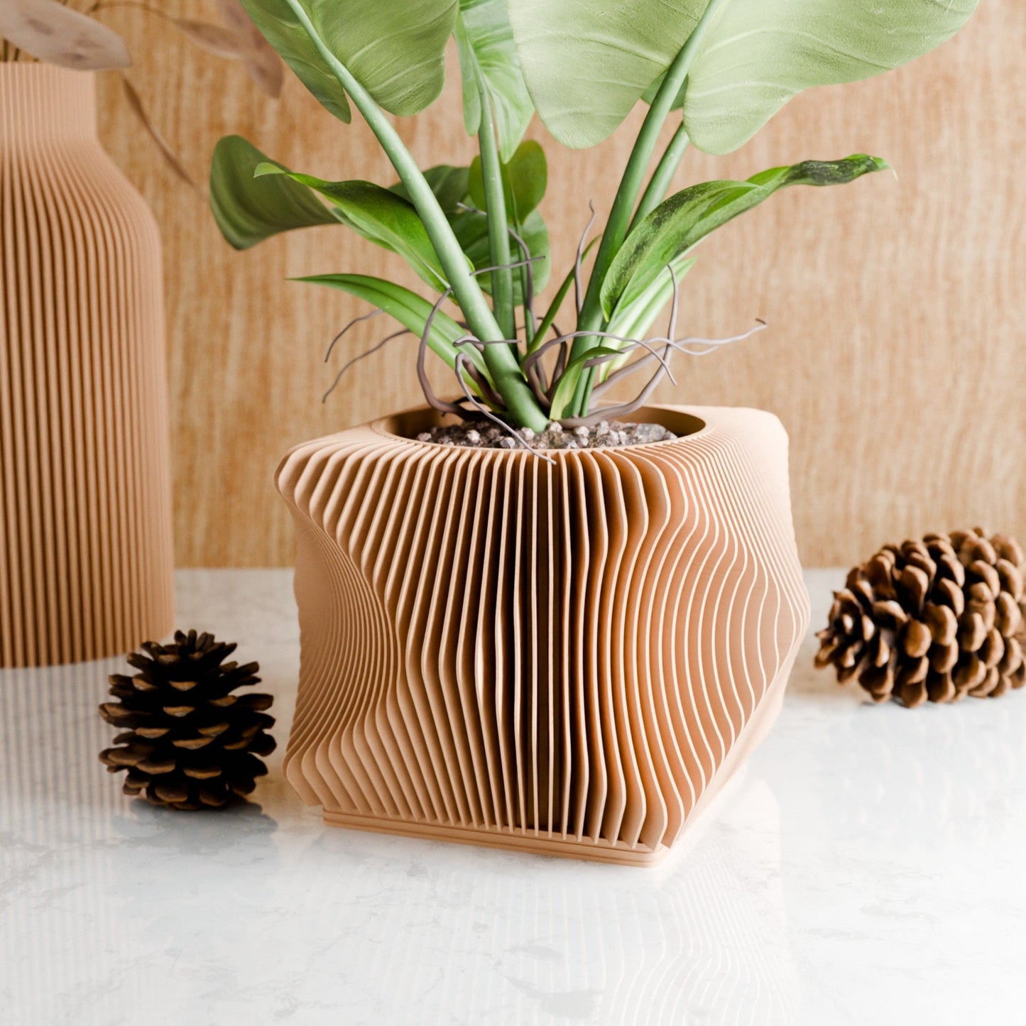 Xenova Planter