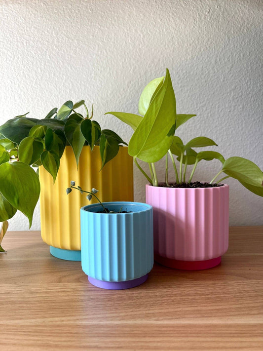 Rainbow 3-Piece Set – Bold Colorful Planters (3", 4", 5"): Bubble Pop (Yellow Pink Blue)