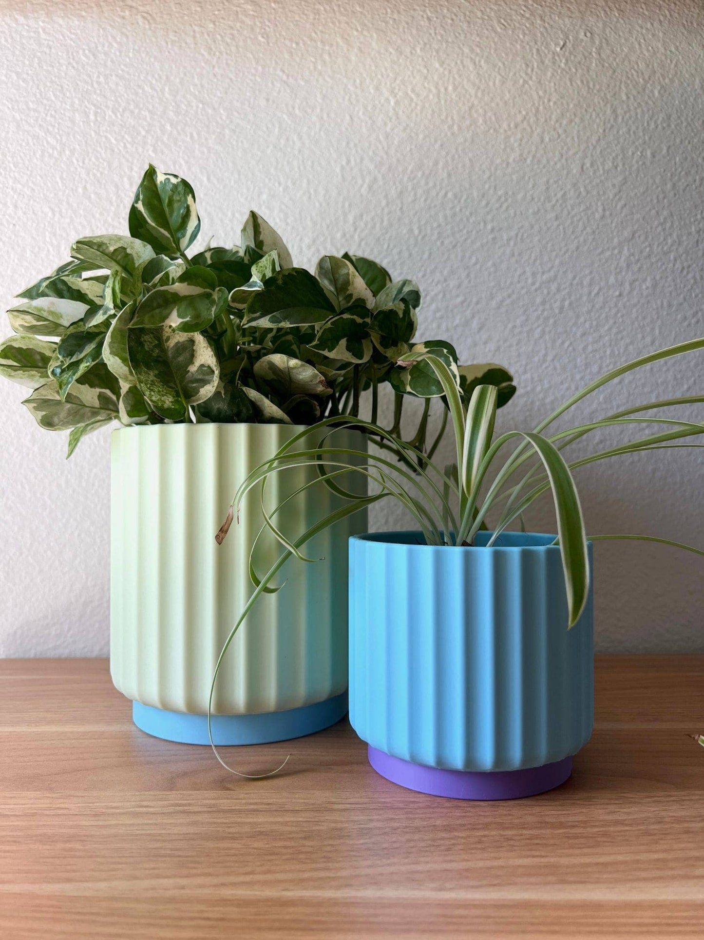 Rainbow 3-Piece Set – Bold Colorful Planters (3", 4", 5"): Bubble Pop (Yellow Pink Blue)