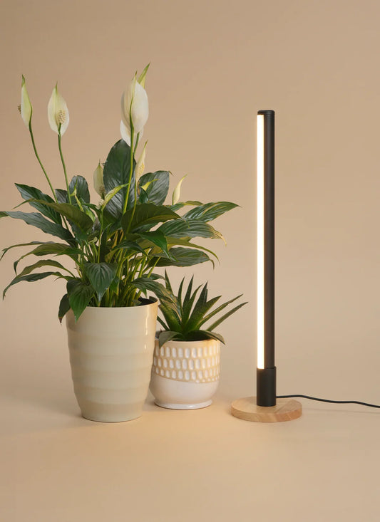 Grove Grow Light with Alta Vertical Stand Set