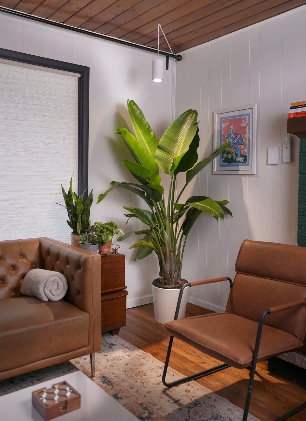 Aspect™ Gen 2 LED Growlight