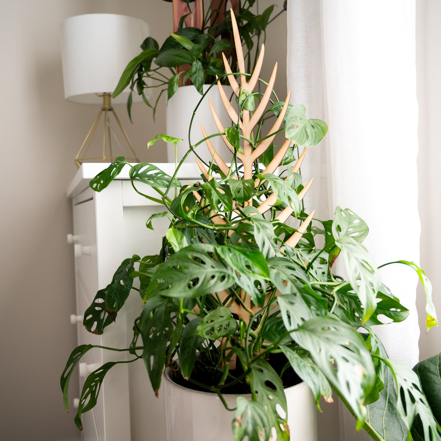 BARE™ Palmella™ - Customizable wooden plant support - Inspired by the Palm leaf