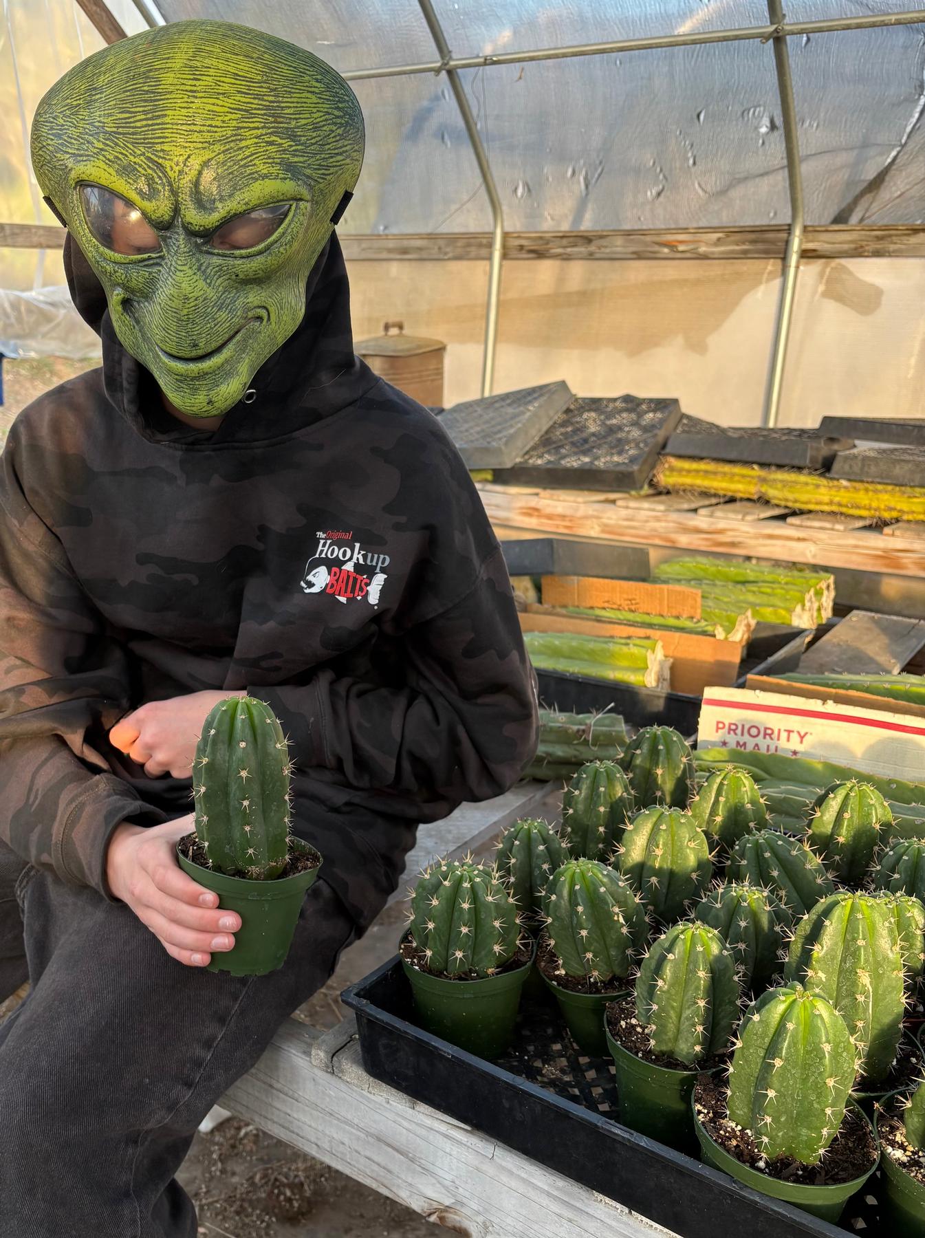 #EC04 Trichocereus Pachanoi Jiimz Long Spine Cactus Potted Options