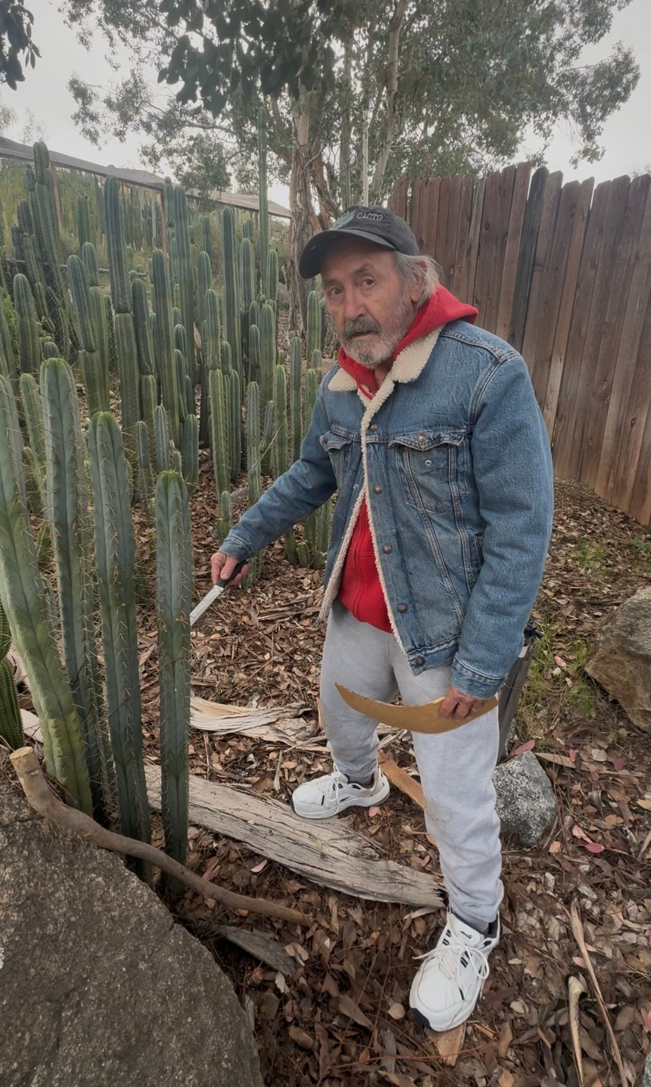 #EC76 EXACT Trichocereus Bridgesii JIIMZ Cactus Cutting includes A Personal Video 15”+