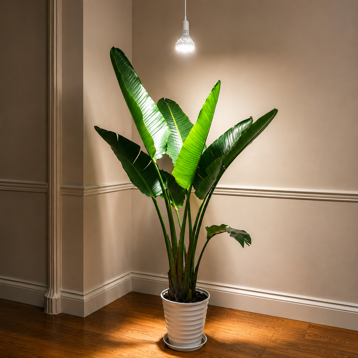SGLEDs BR30 40W Hanging Grow Light Bulb with Remote Control(US ONLY)
US E26