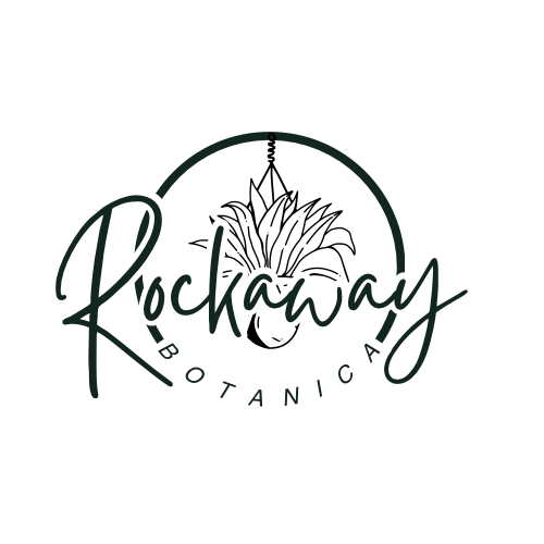 ROCKAWAY BOTANICA 
