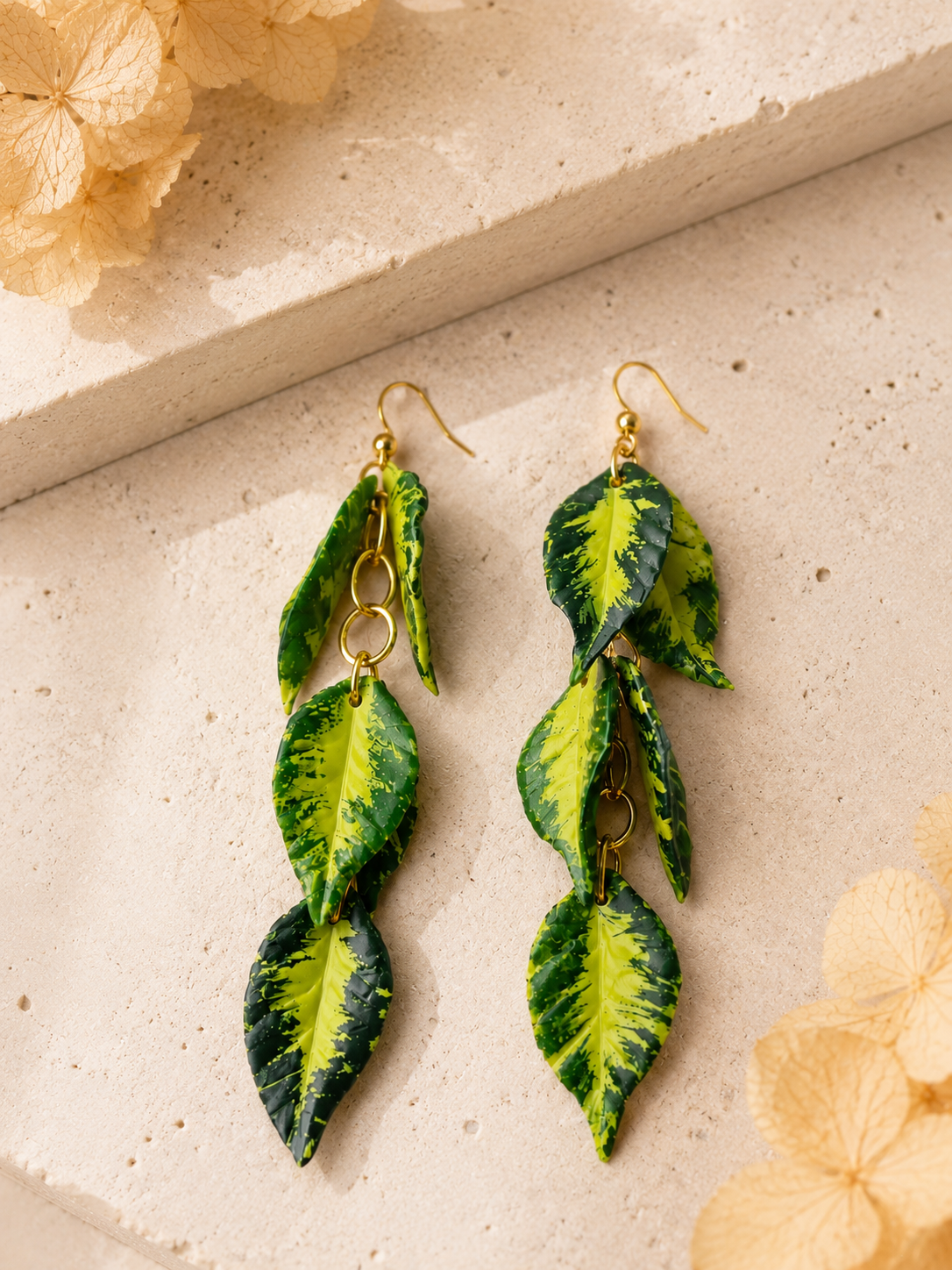 Hoya Polyneura Dangle