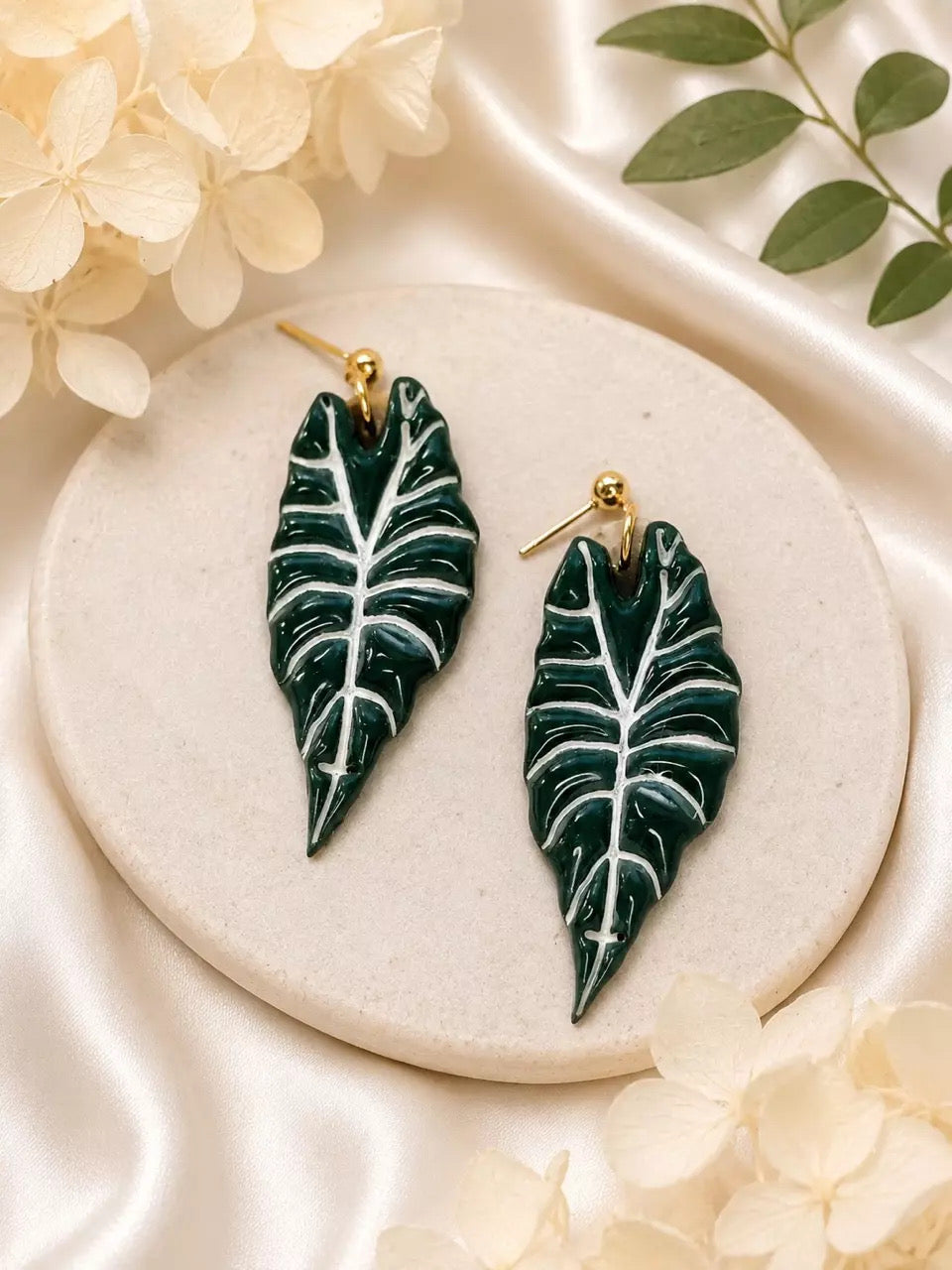 Alocasia Polly