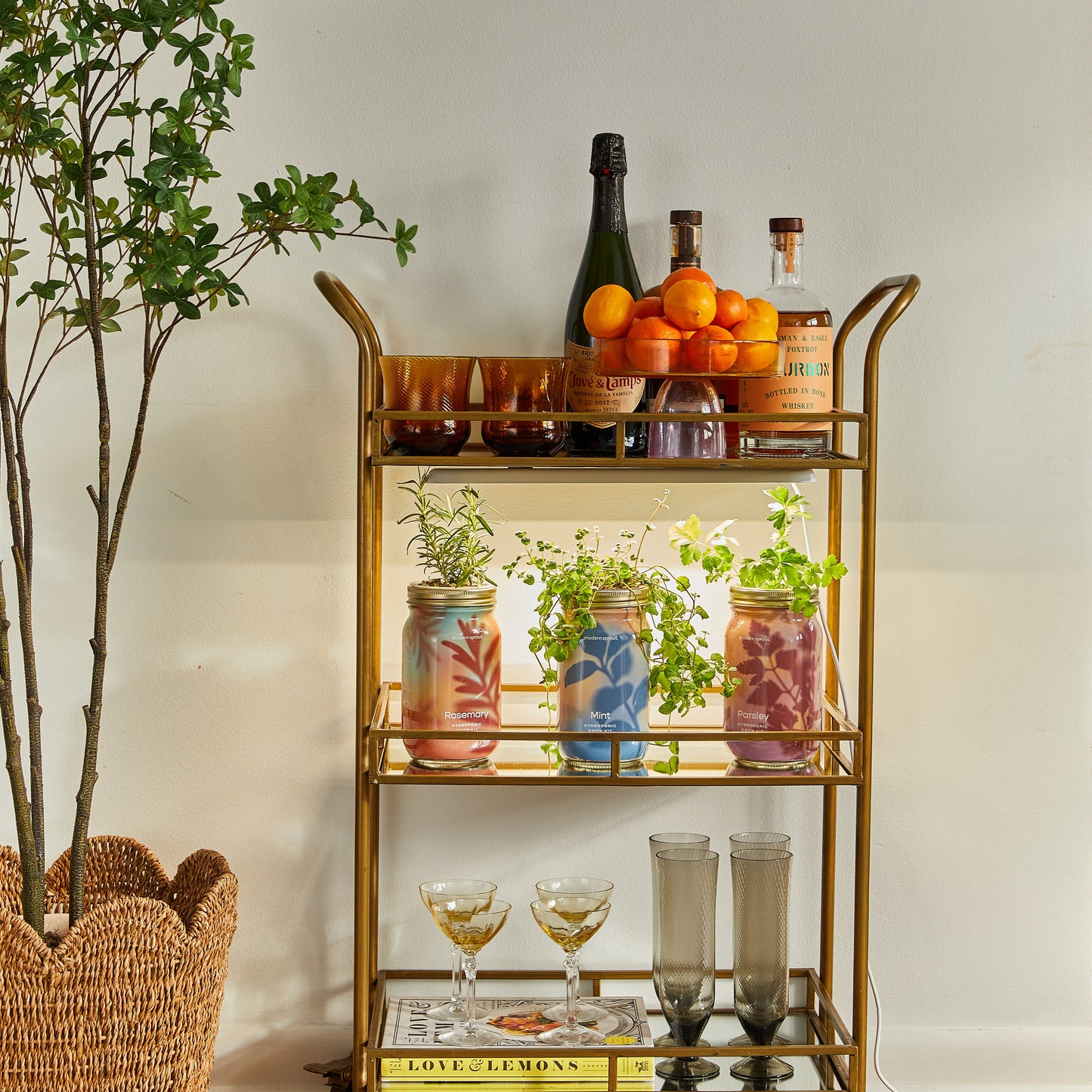 Smart Growbar
