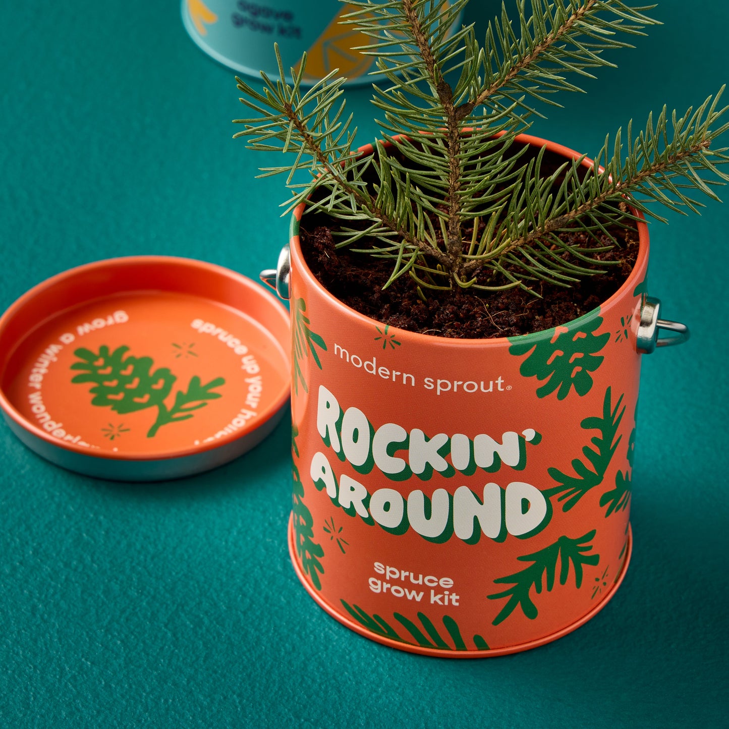 Seasonal Complimentary Colors Grow Kits