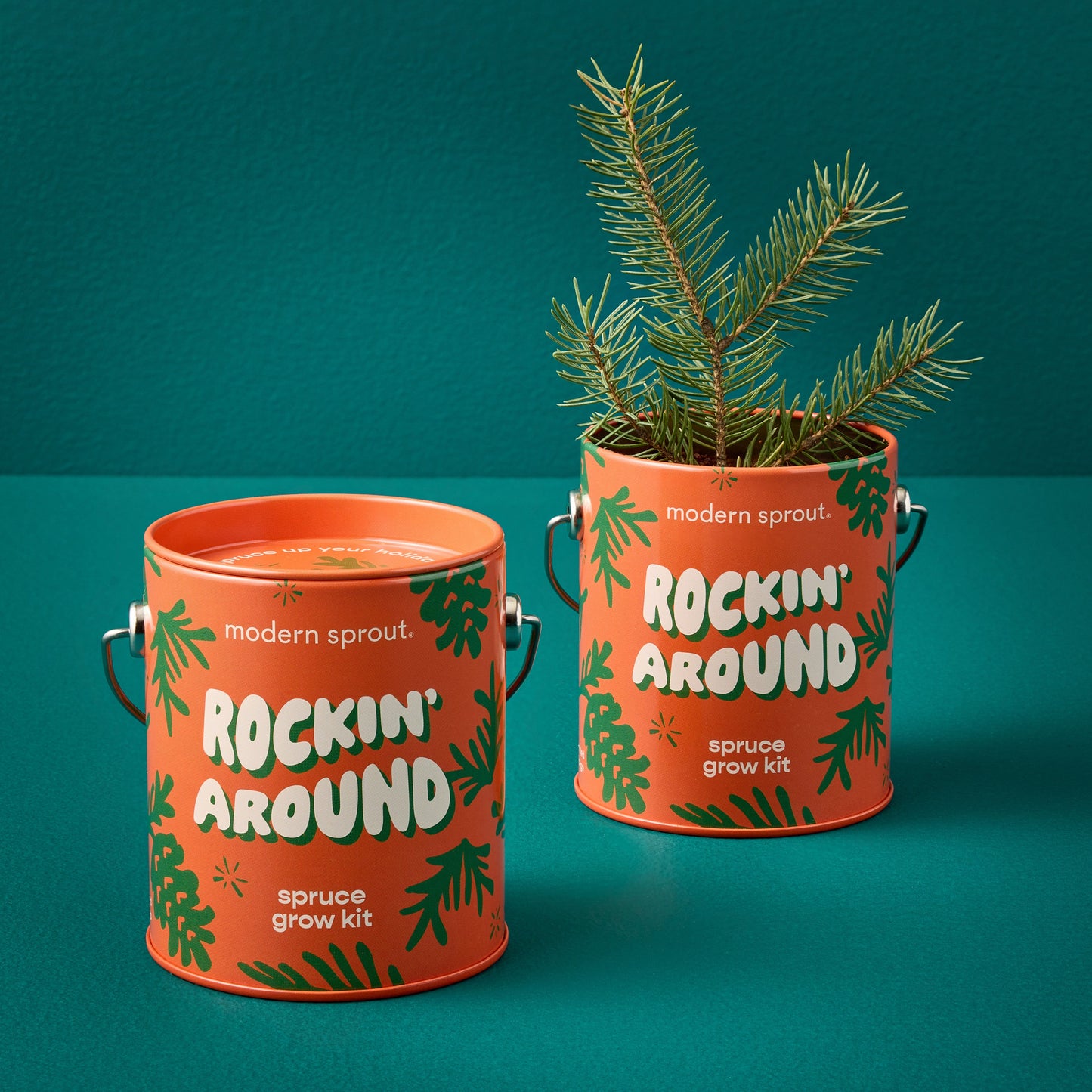 Seasonal Complimentary Colors Grow Kits
