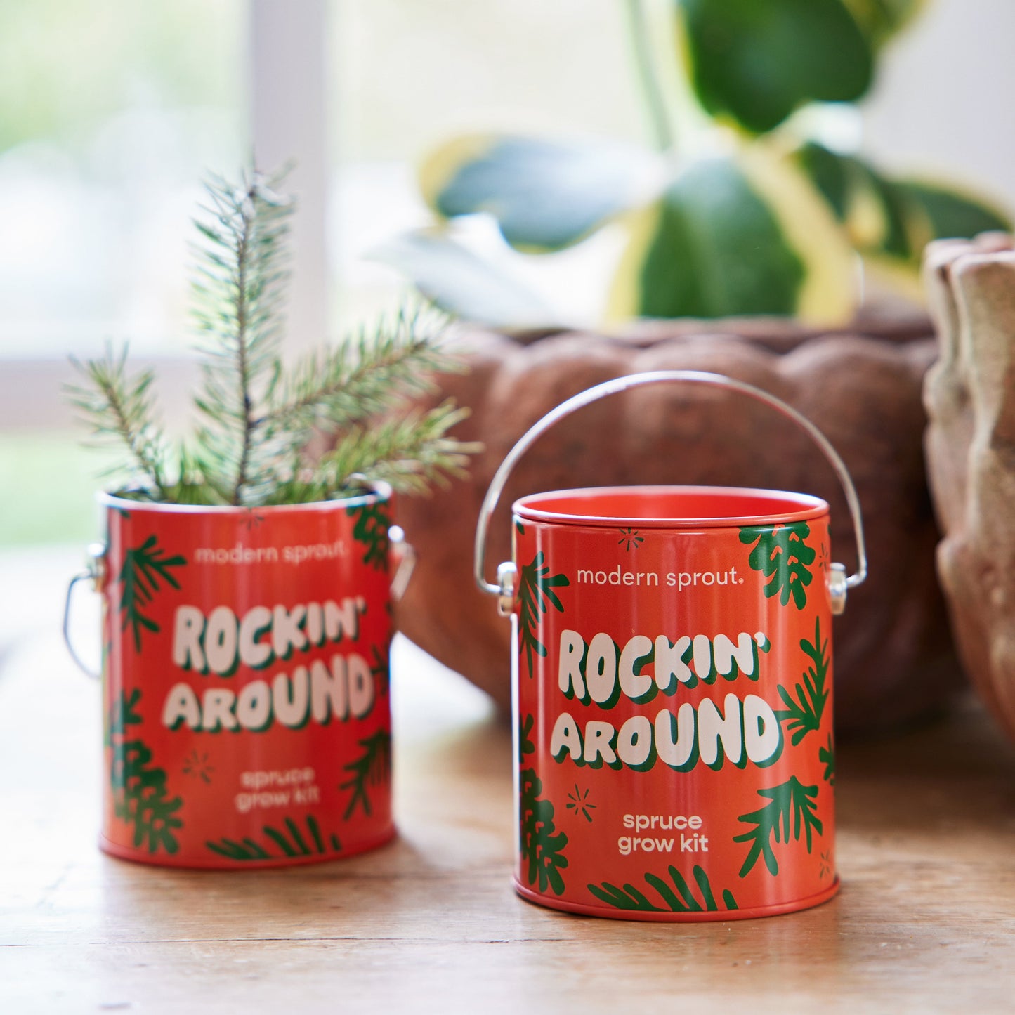 Seasonal Complimentary Colors Grow Kits