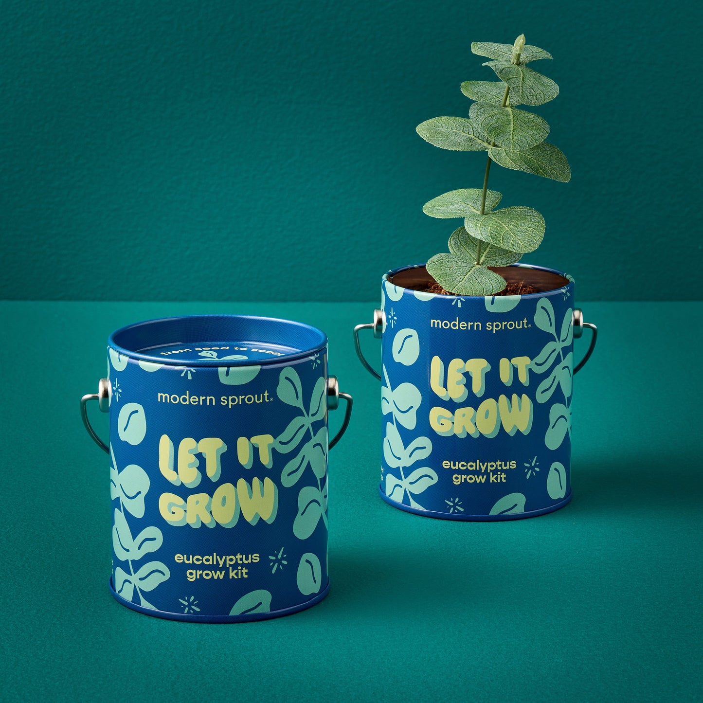 Seasonal Complimentary Colors Grow Kits