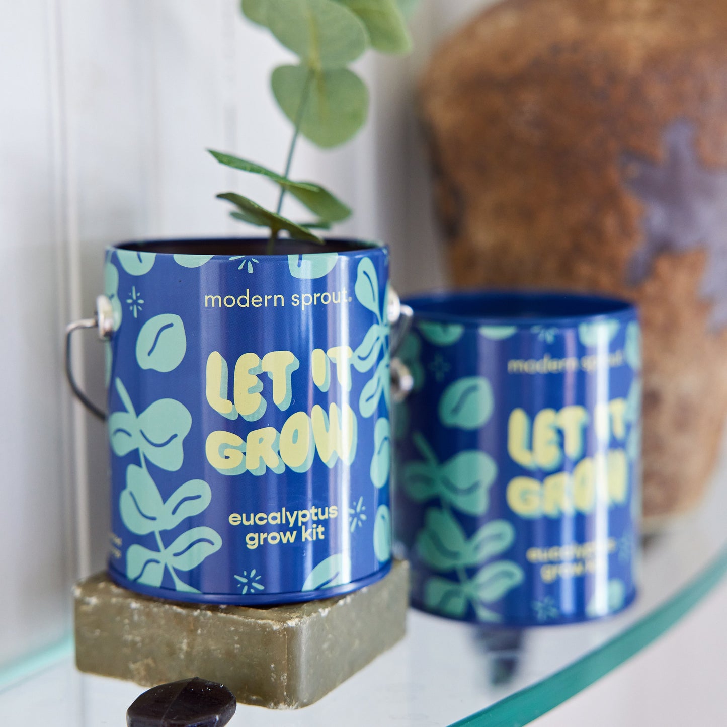 Seasonal Complimentary Colors Grow Kits