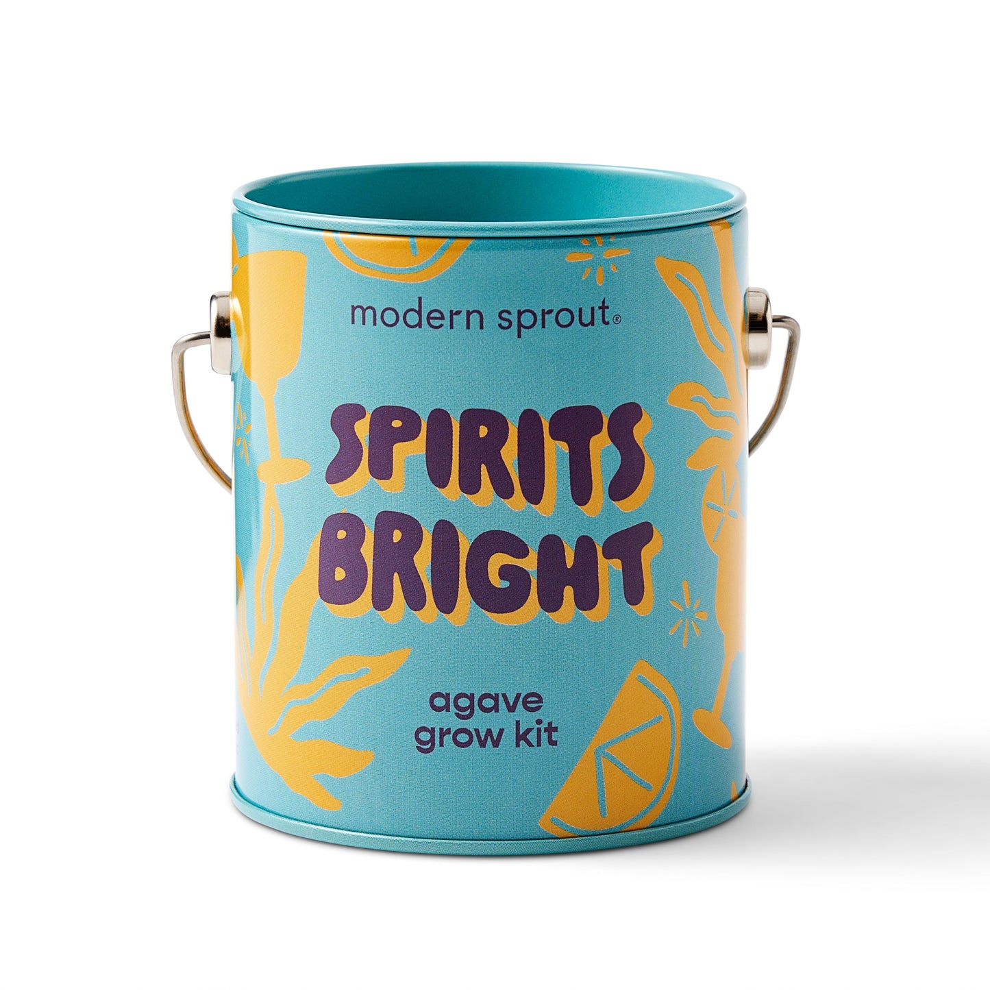 Seasonal Complimentary Colors Grow Kits
