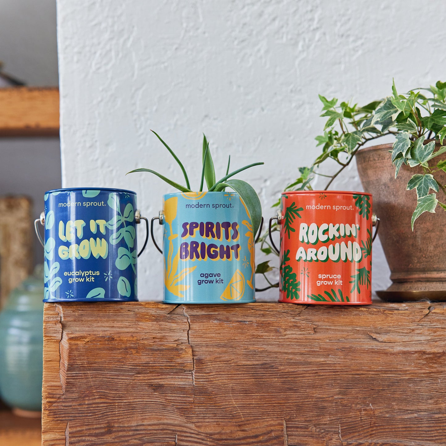 Seasonal Complimentary Colors Grow Kits