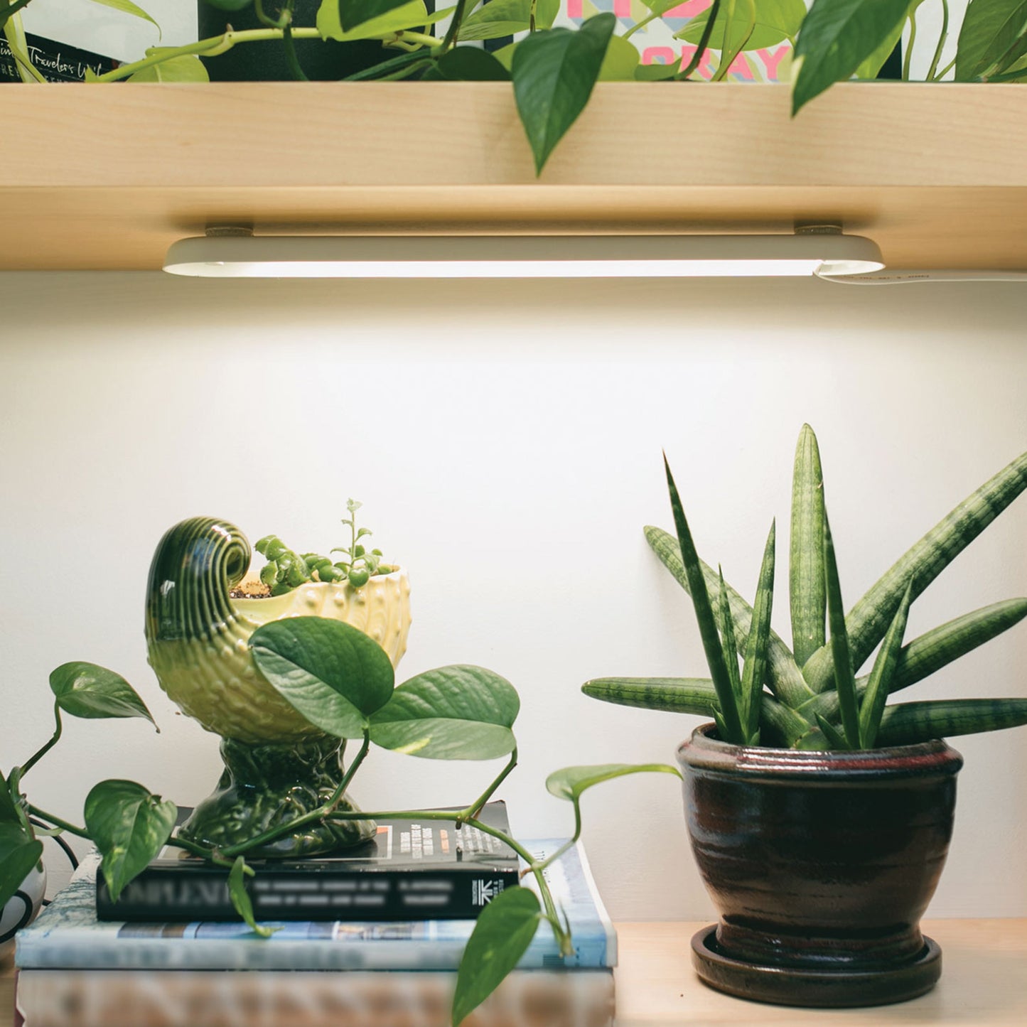 Smart Growbar
