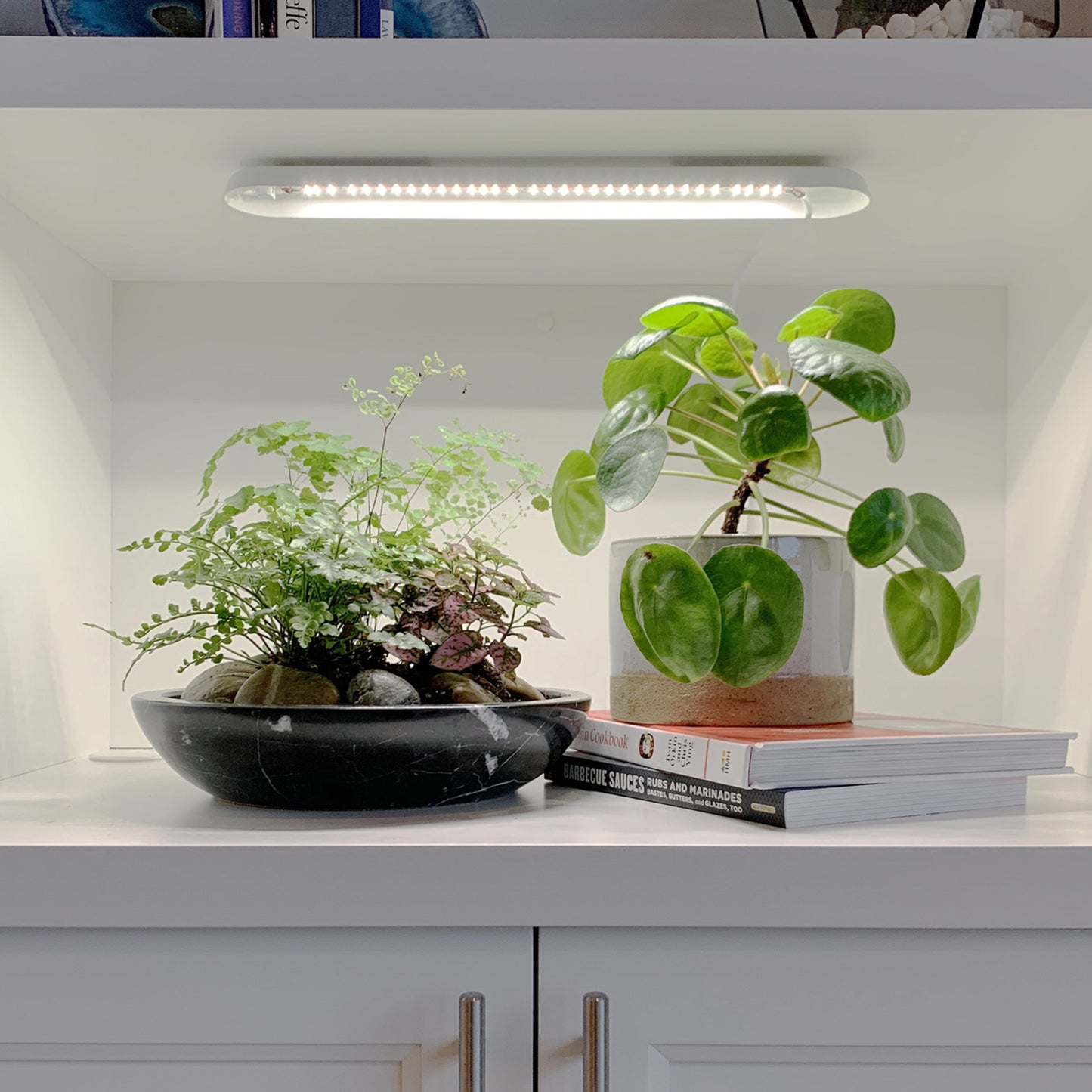 Smart Growbar
