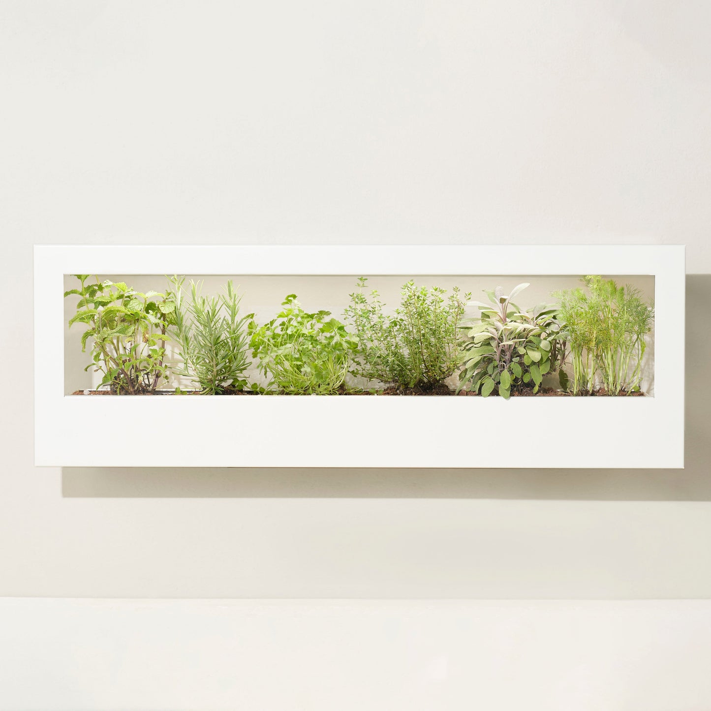 Smart Landscape Growframe