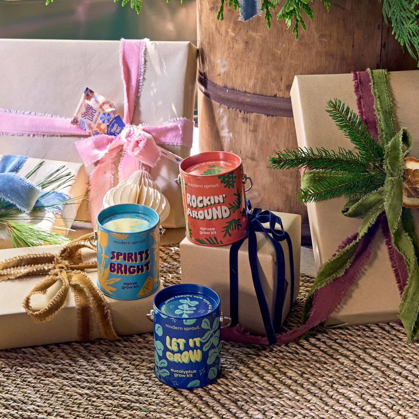 Seasonal Complimentary Colors Grow Kits