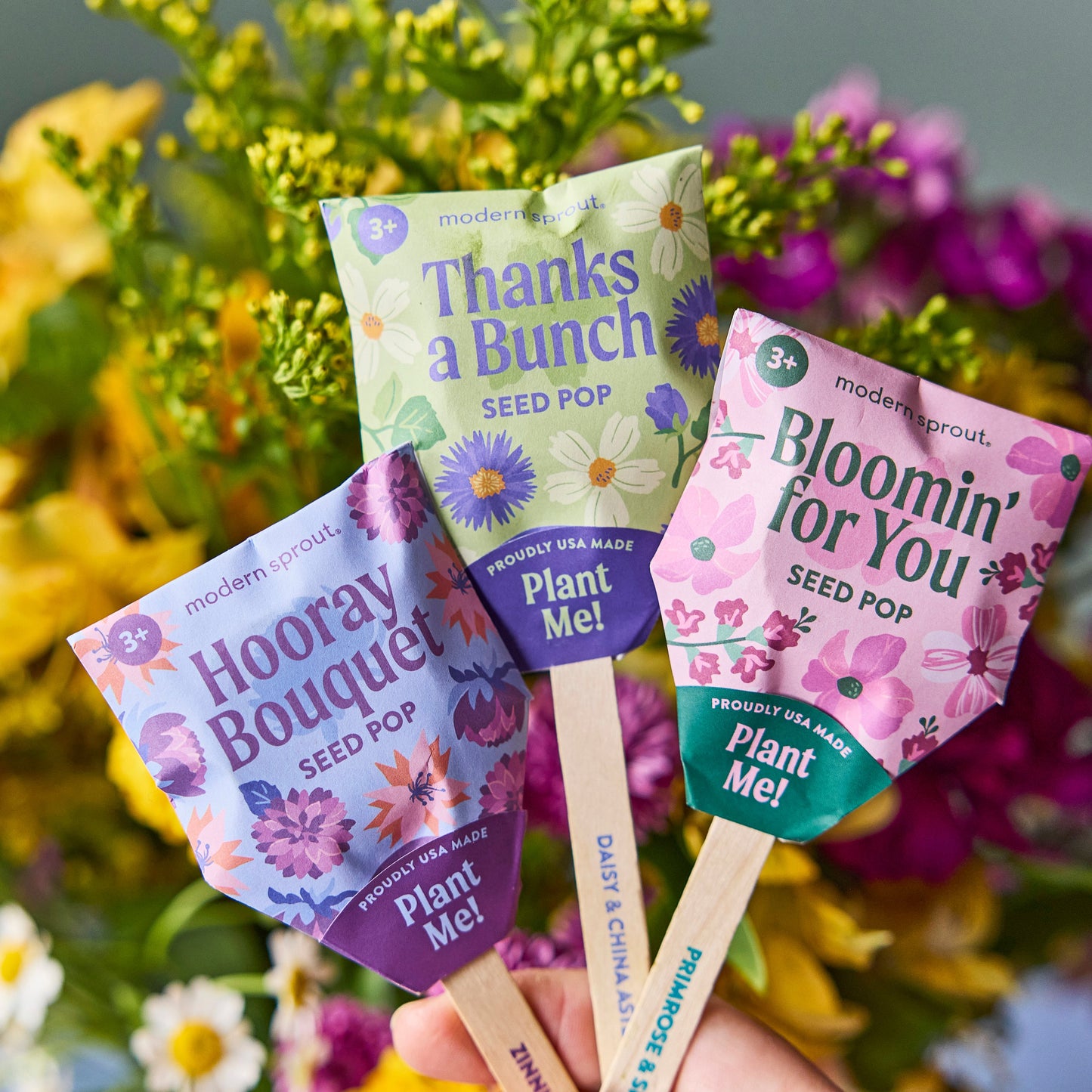 Seed Pops - Flowers