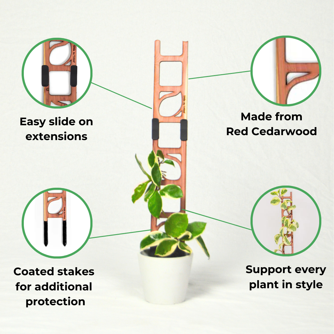 Stella - Modular ladder support