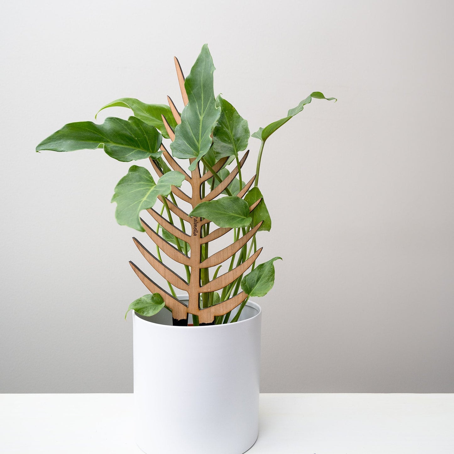 Palmella - Plant trellis inspired by the Palm Leaf