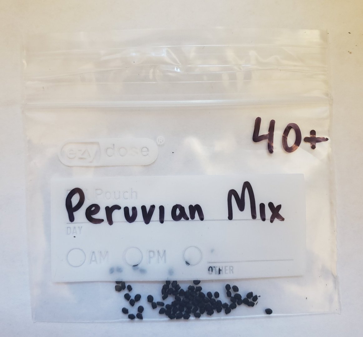 Trichocereus San Pedro Cactus Seeds Pachanoi, Peruvianus, Bridgesii, Scopulicola, Hybrid seed For Sale