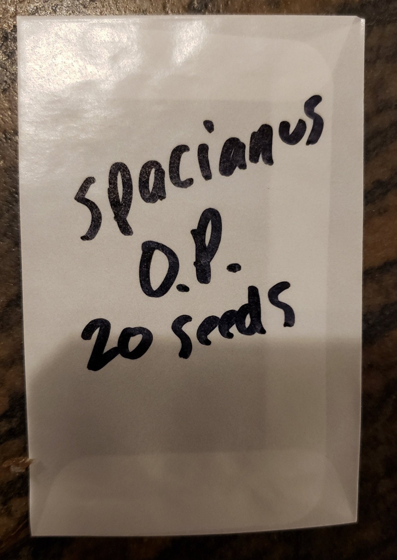 Trichocereus San Pedro Cactus Seeds Pachanoi, Peruvianus, Bridgesii, Scopulicola, Hybrid seed For Sale