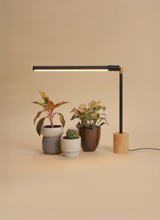 Versa™ Tabletop Grow Light