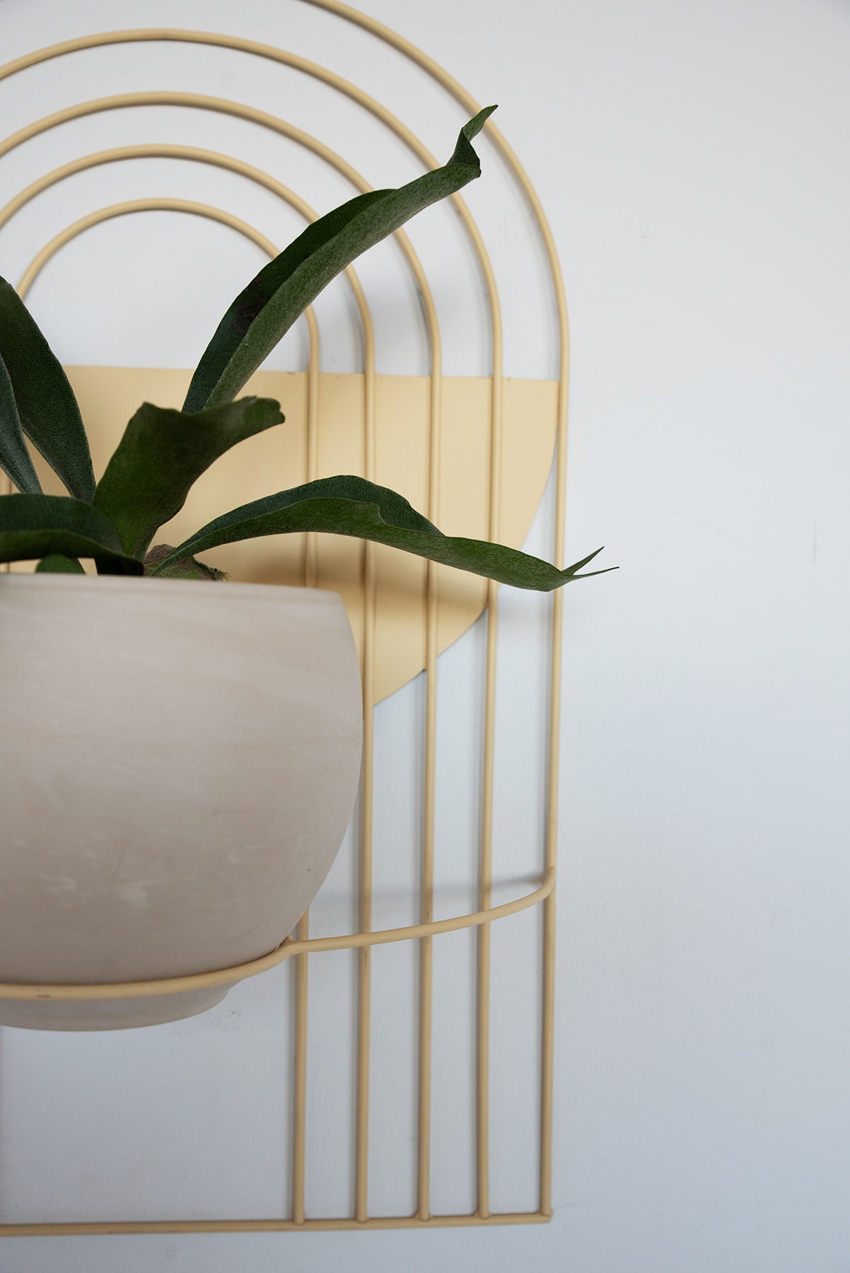 Arches Wall Planter