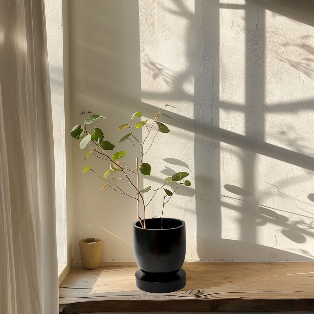 Adu Planter