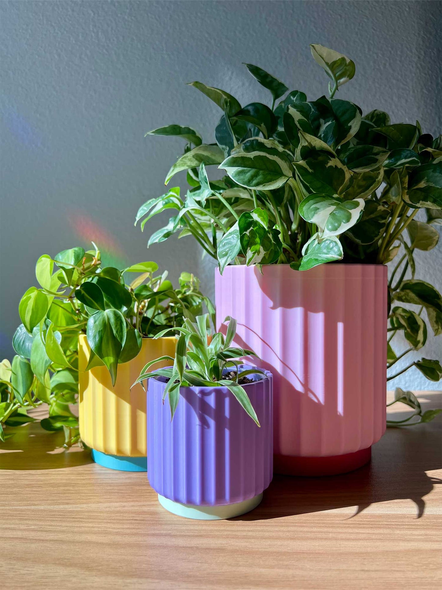 Rainbow 3-Piece Set – Bold Colorful Planters (3", 4", 5"): Bubble Pop (Yellow Pink Blue)