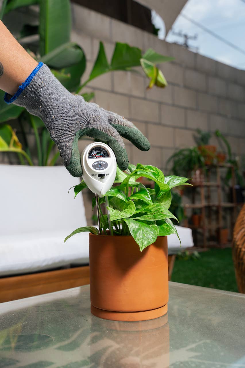 3-in-1 Soil Meter