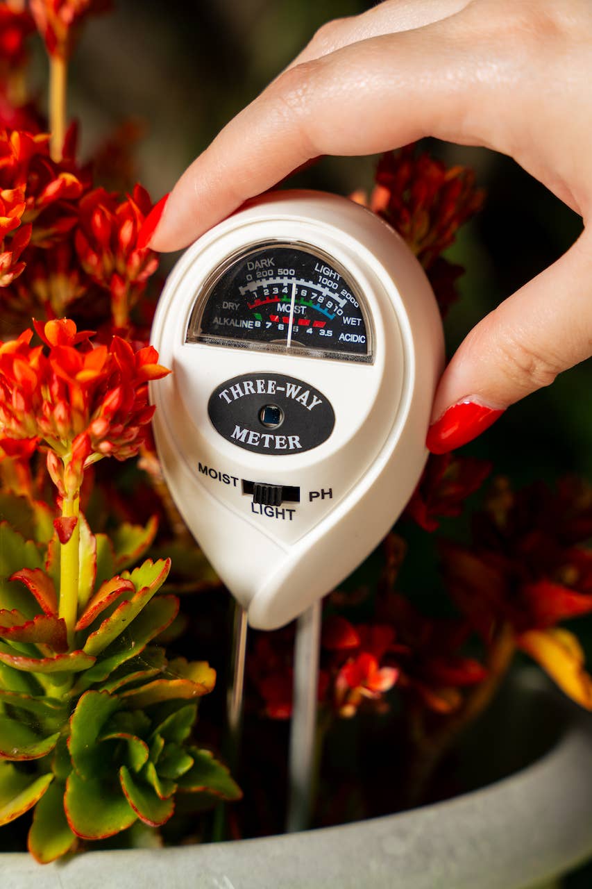 3-in-1 Soil Meter