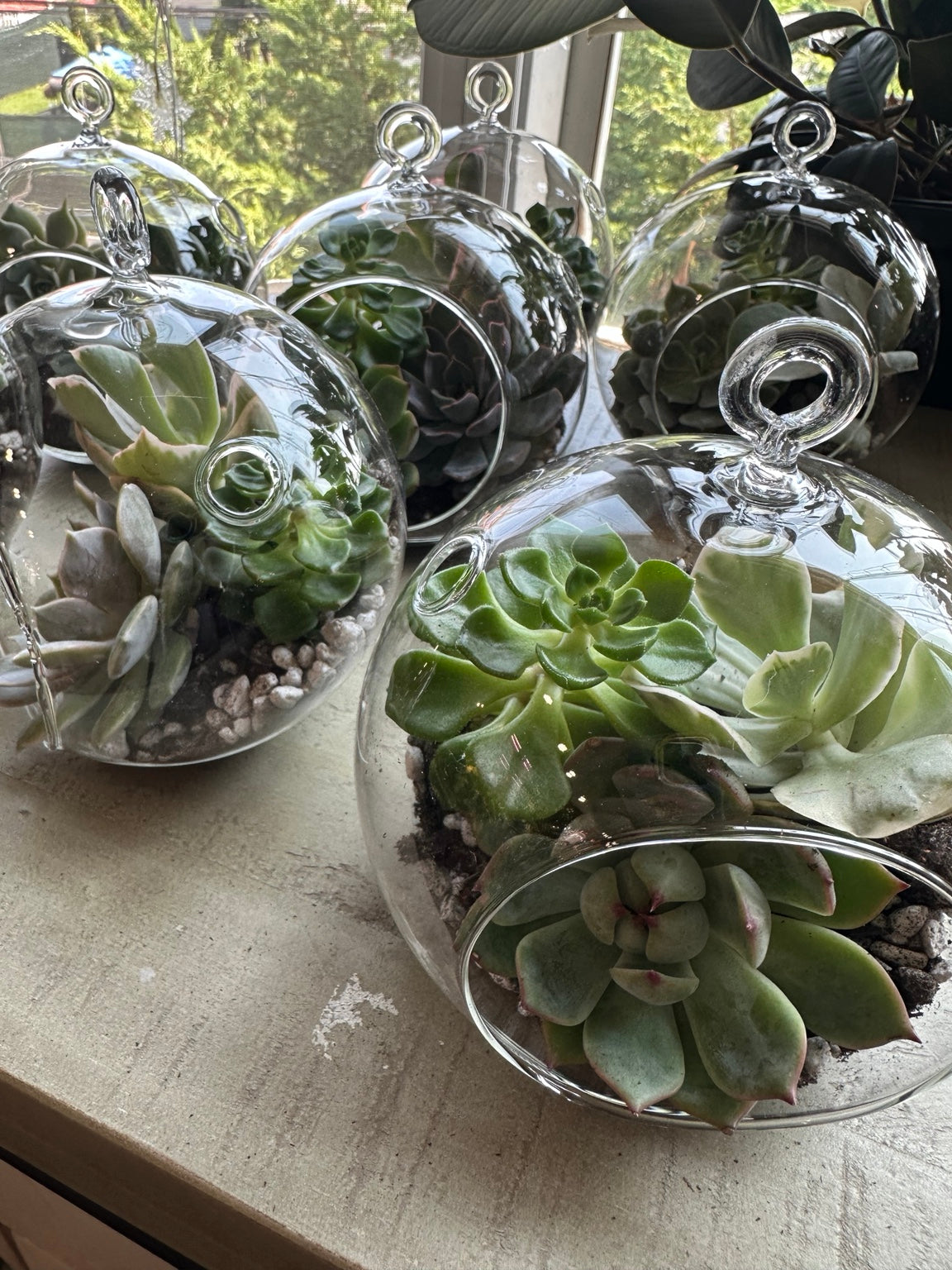 Rockaway Botanica wedding gallery image 6